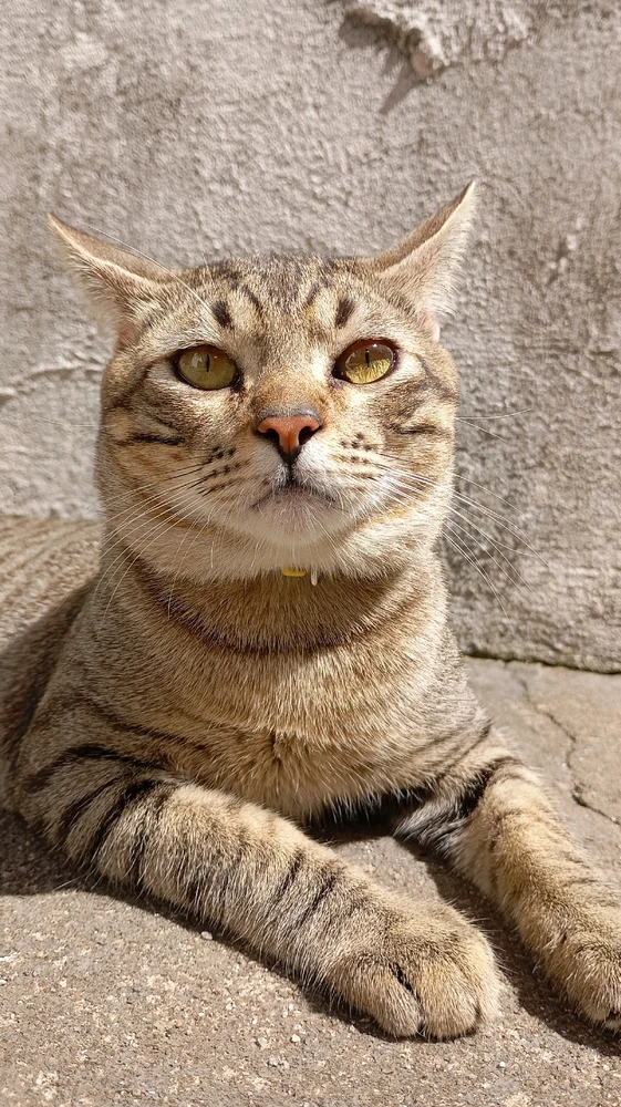 GIF enviado por Ràvi