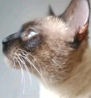 GIF enviado por Rodrigo