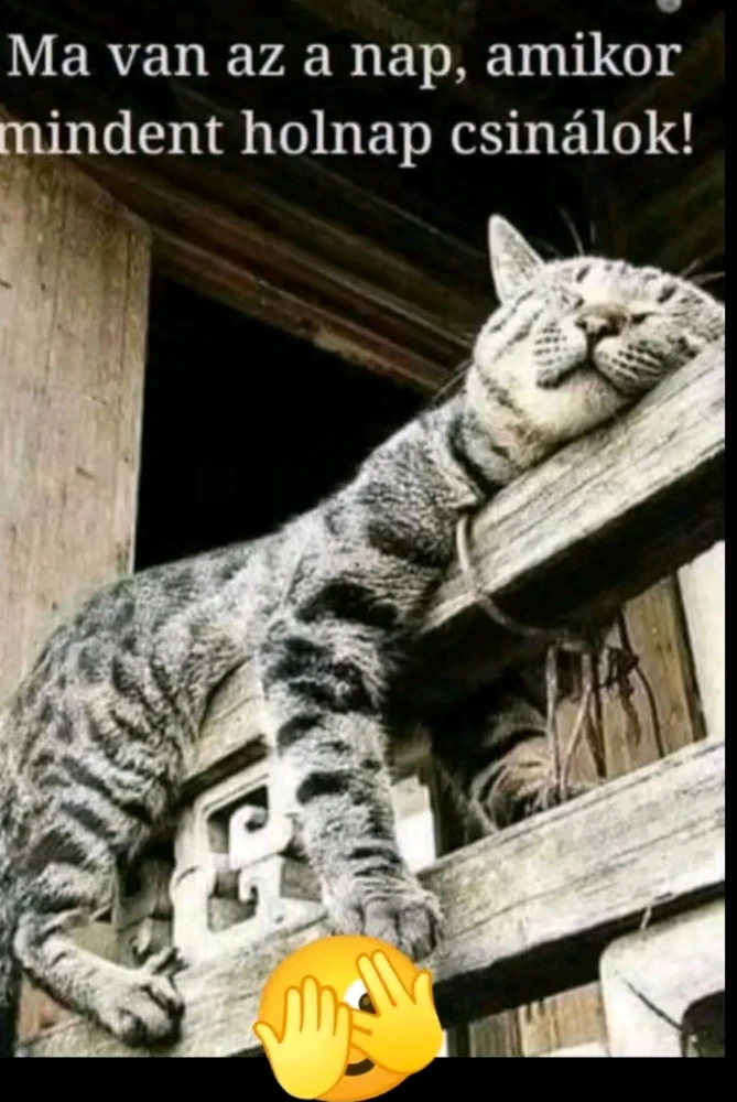 vanazúgy által feltöltött GIF