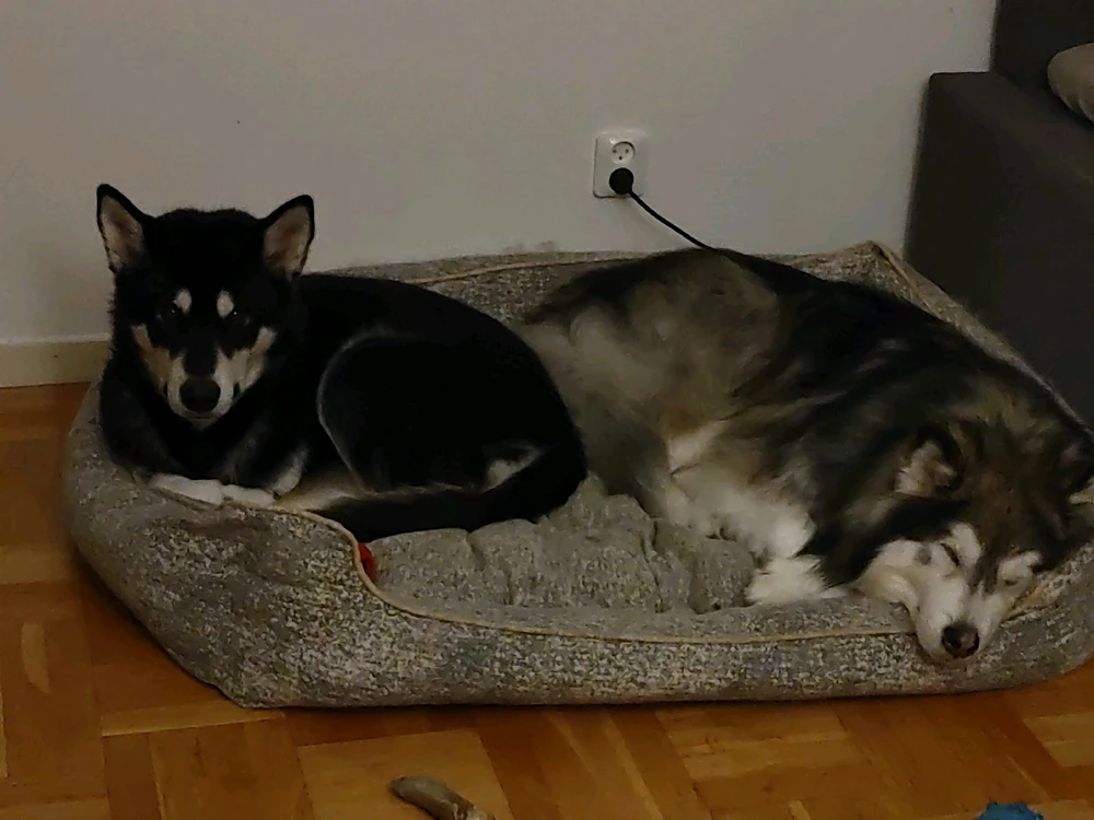 GIF uppladdad av Fredrik