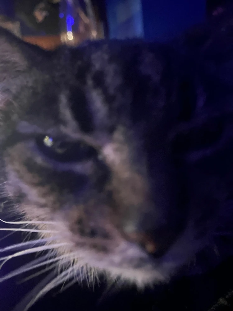 GIF diunggah dening Eliza