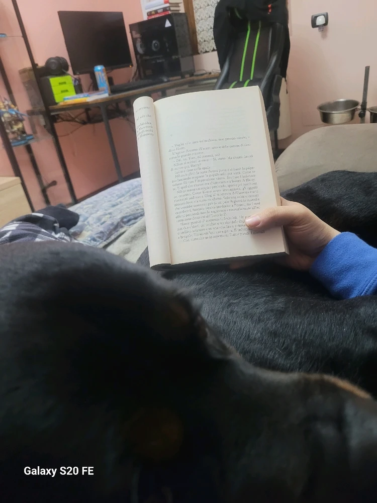 GIF caricata da Marco