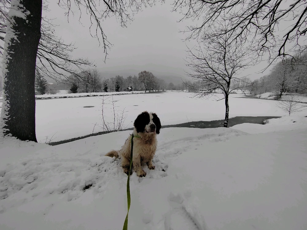 Fotku nahral/-a Michal