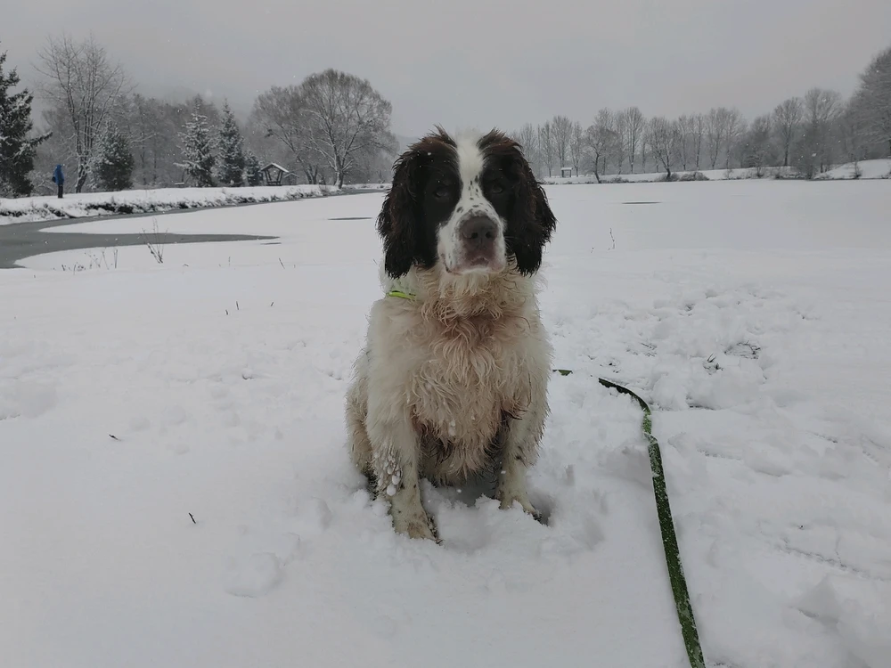 Fotku nahral/-a Michal