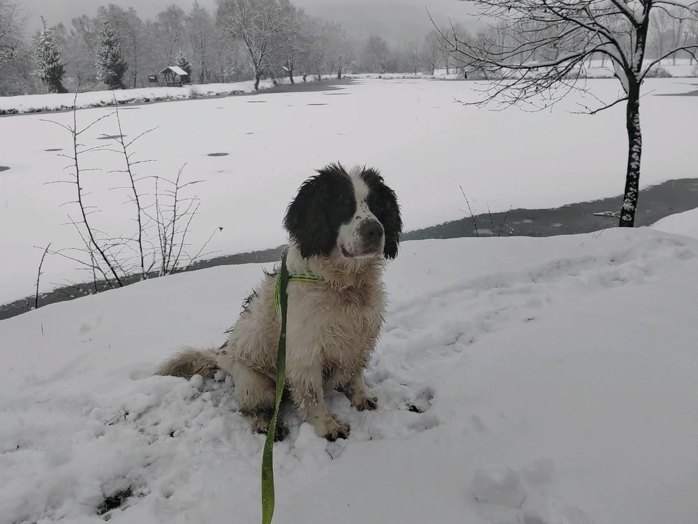 Fotku nahral/-a Michal