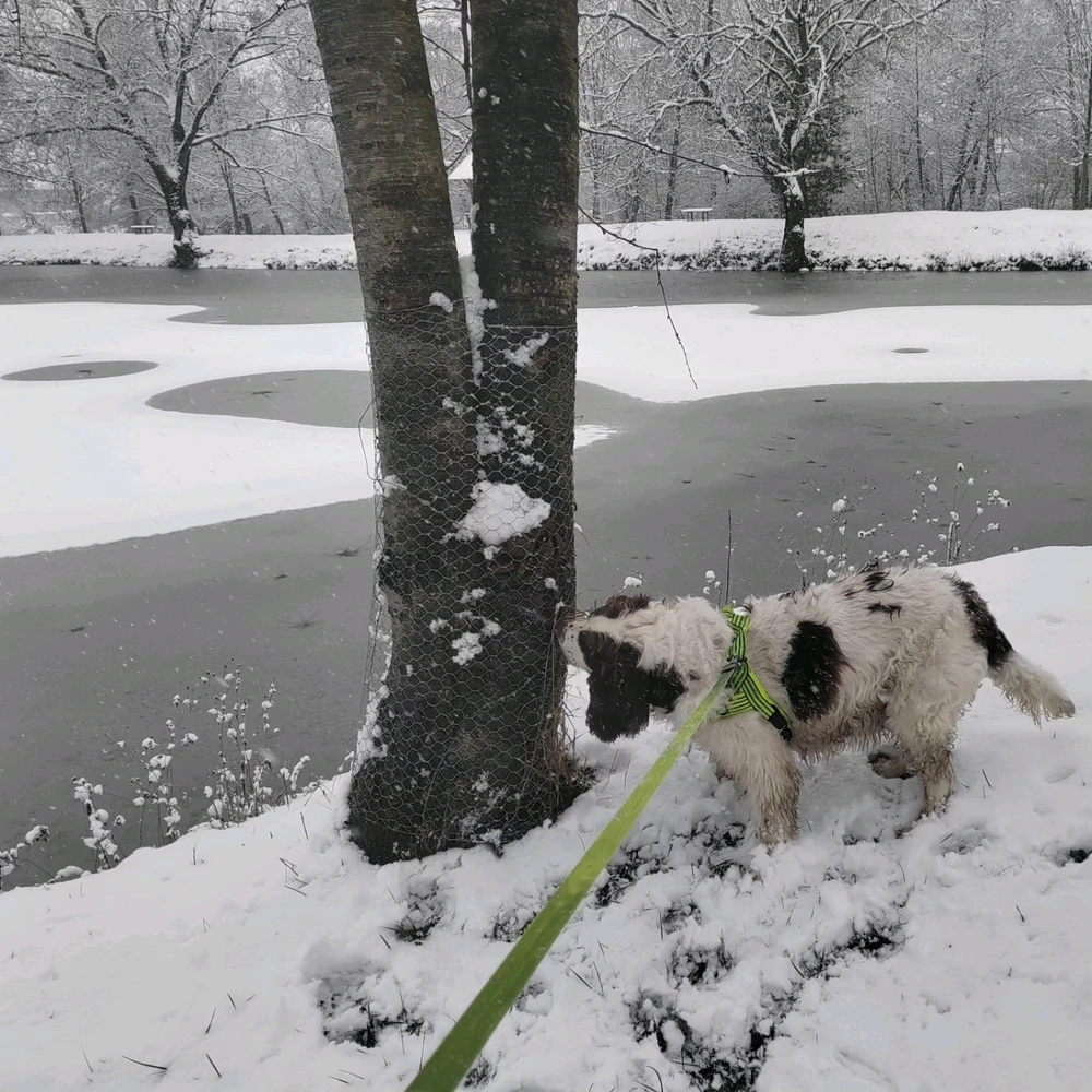 Fotku nahral/-a Michal