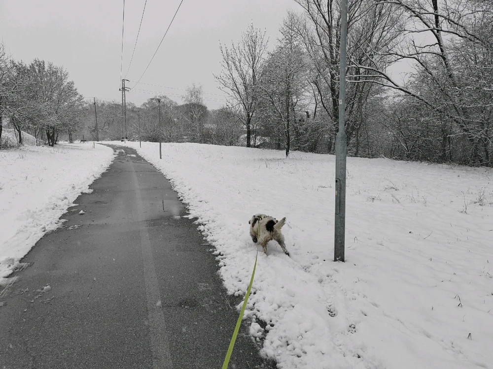 Fotku nahral/-a Michal