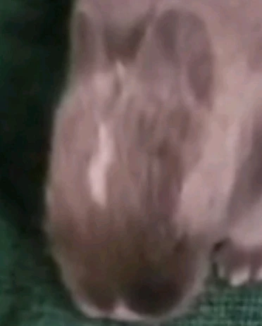 Imagem enviada por Lohana Mara