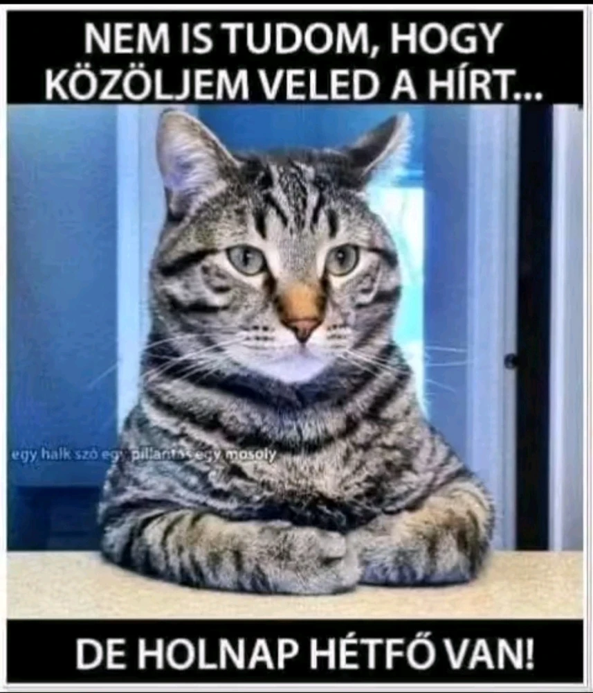 vanazúgy által feltöltött GIF