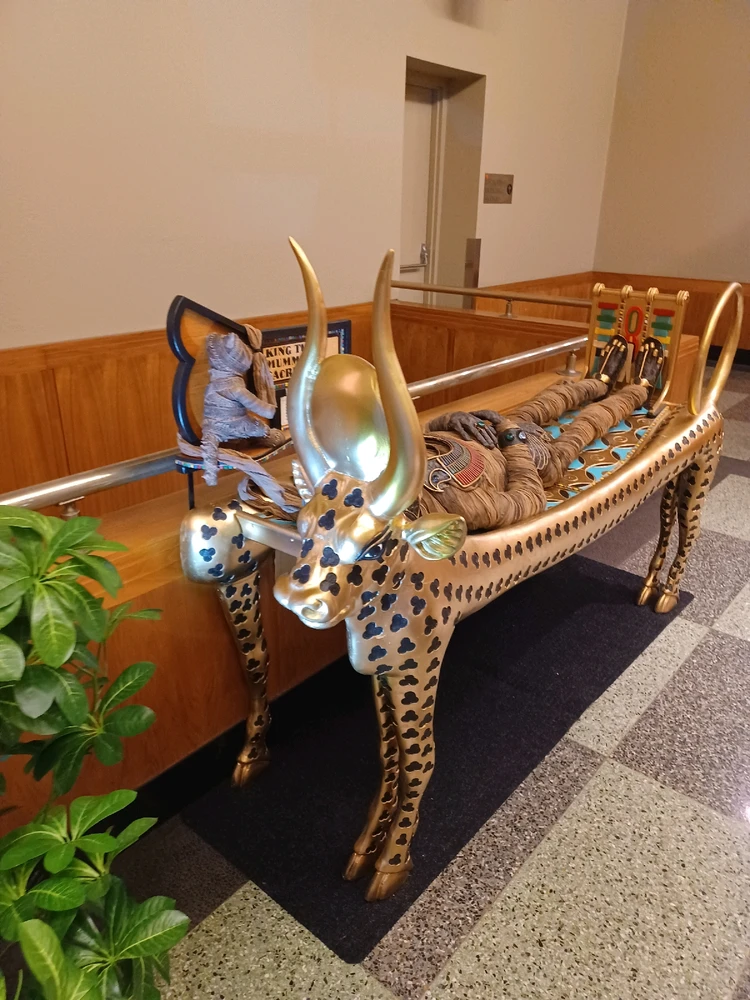 Image uploaded by Stefano