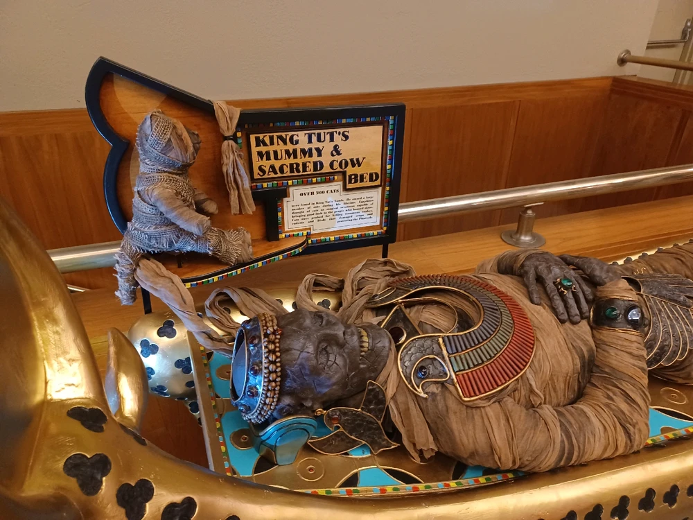 Image uploaded by Stefano