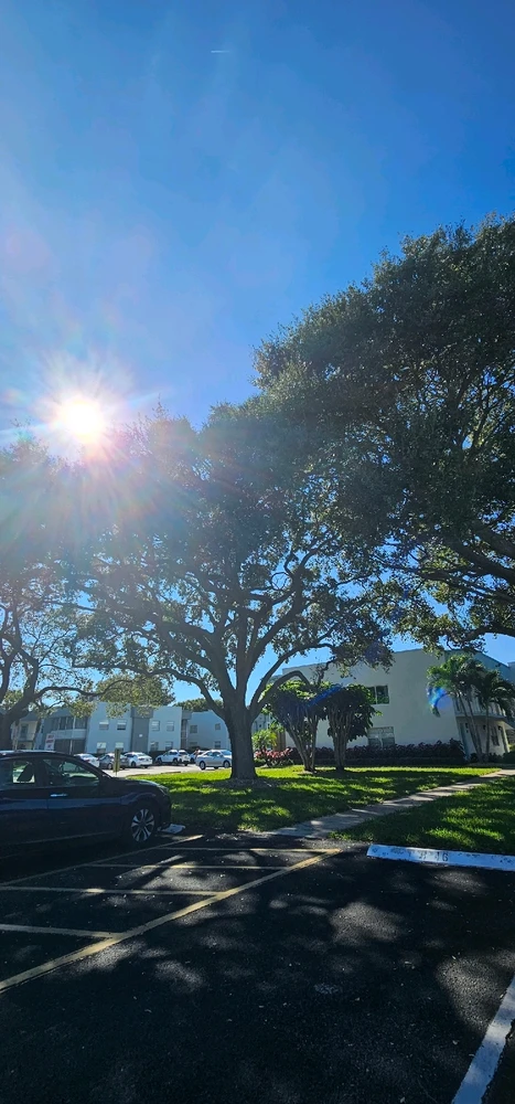 Nuotrauką įkėlė Liza