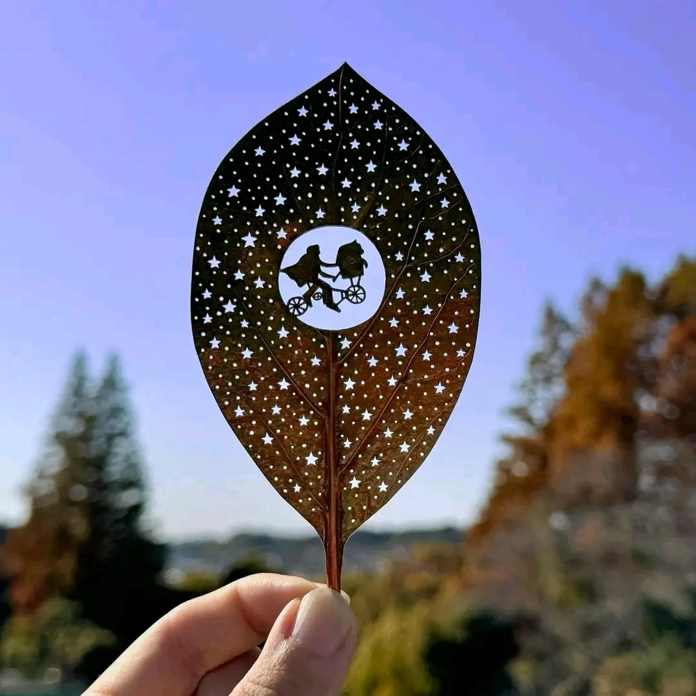 Image ajoutée par Stef