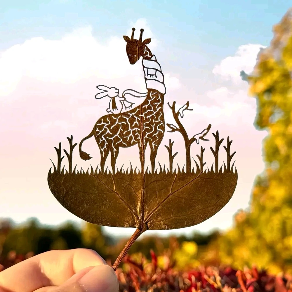 Image ajoutée par Stef