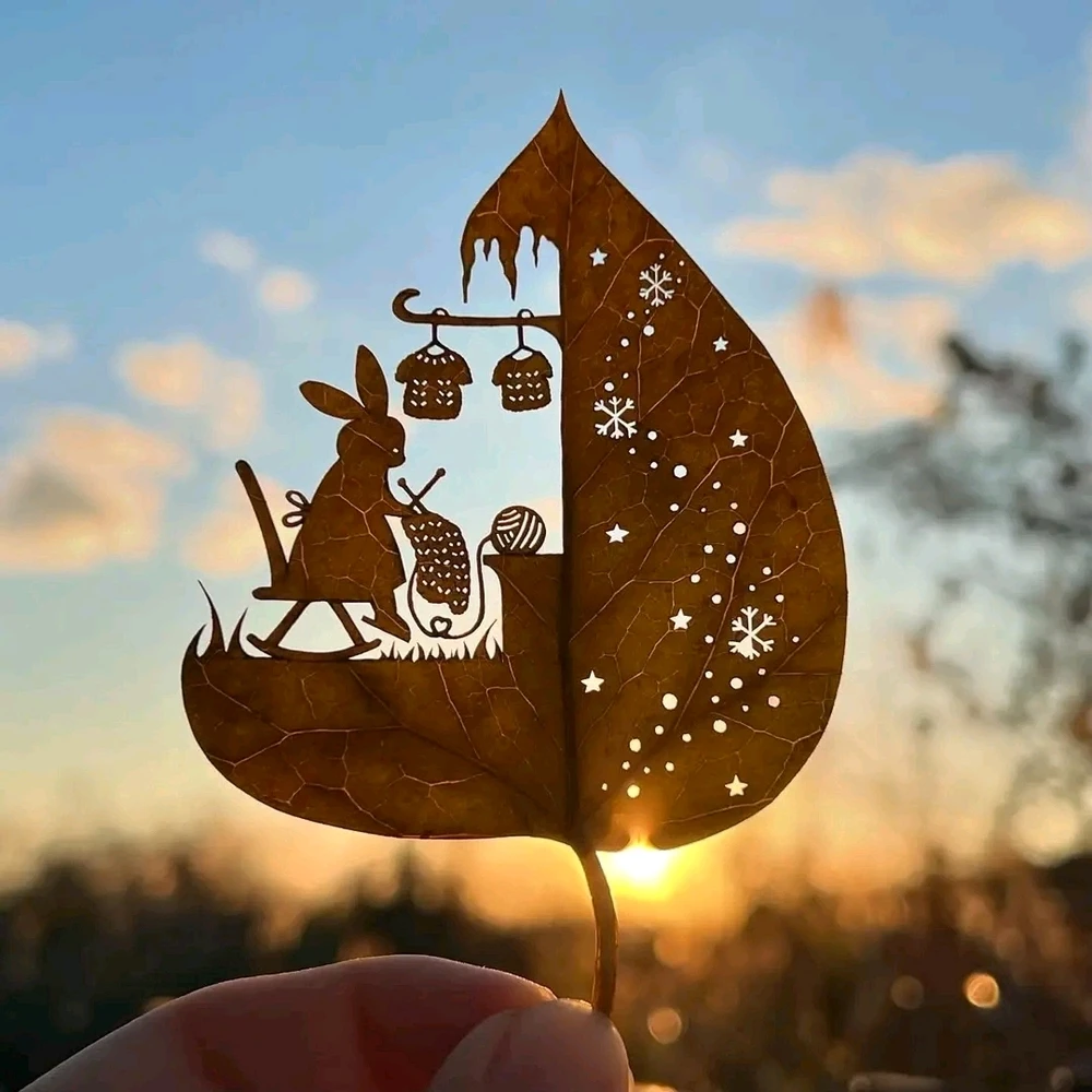 Image ajoutée par Stef