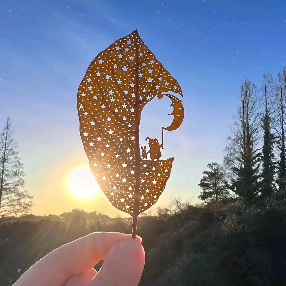 Image ajoutée par Stef