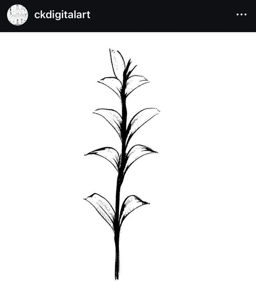 Gambar diunggah dening CK