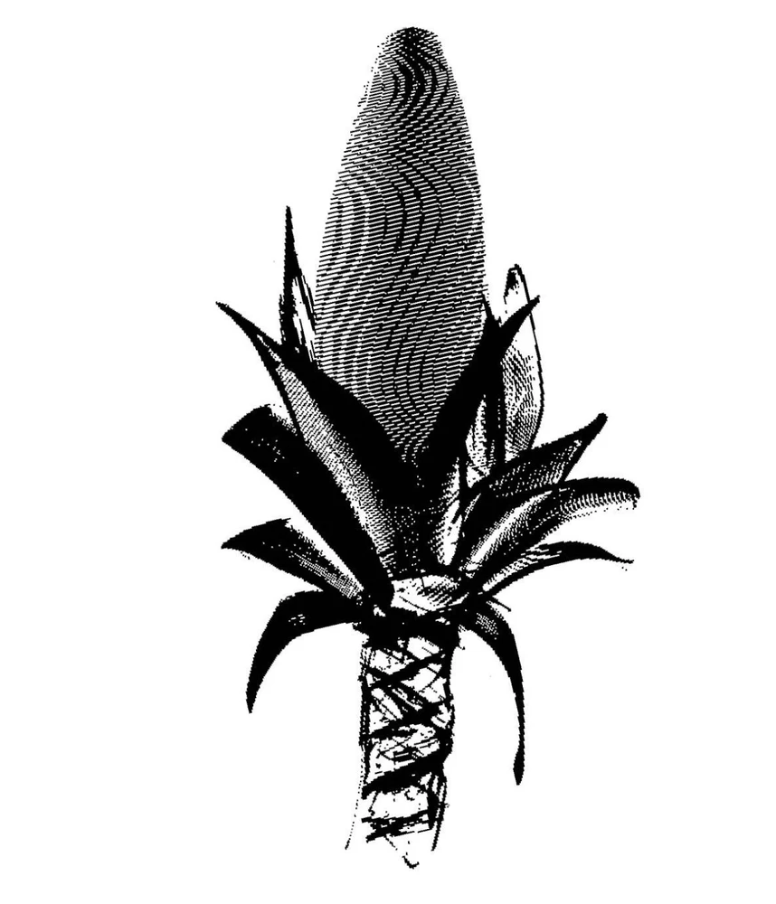 Gambar diunggah dening CK