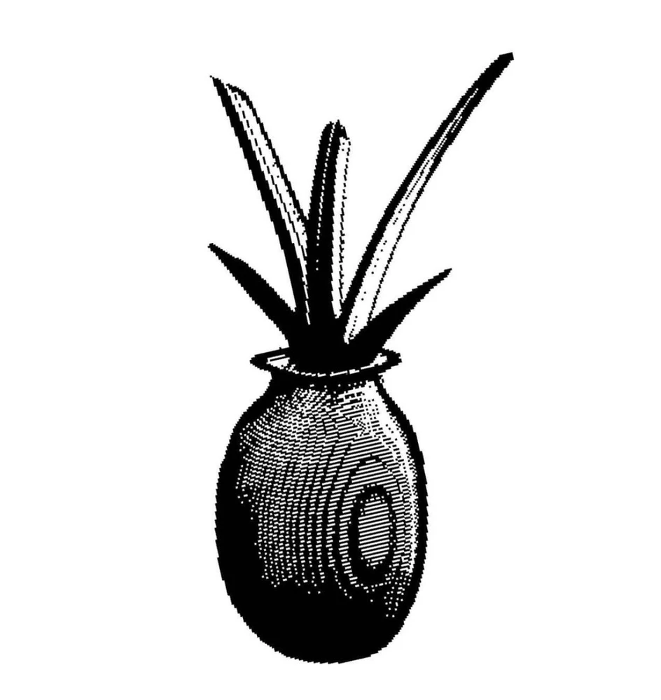 Gambar diunggah dening CK