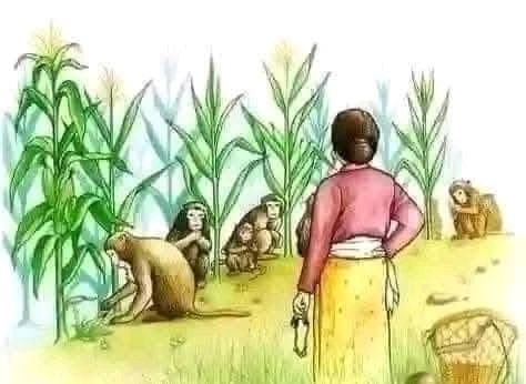 ⓛⓐⓘ上传的GIF