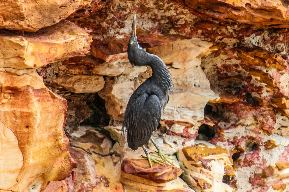 GIF diunggah dening Kris