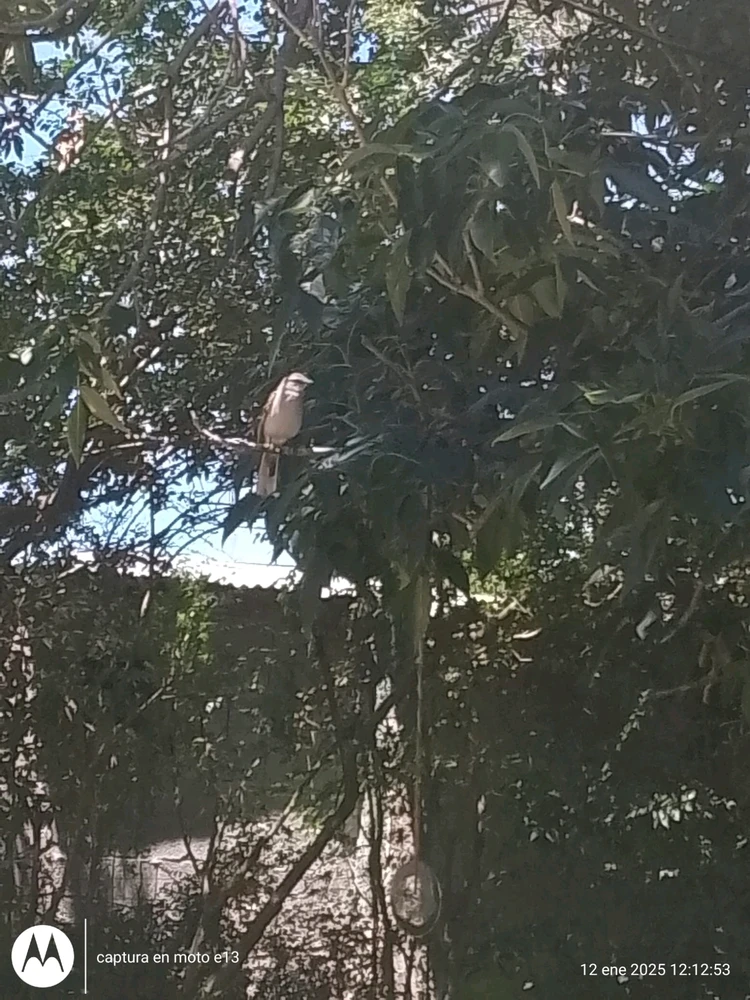 GIF uploaded by Sabrina