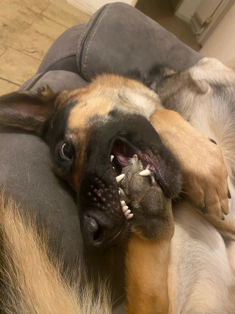 Sky আপলোড করা GIF