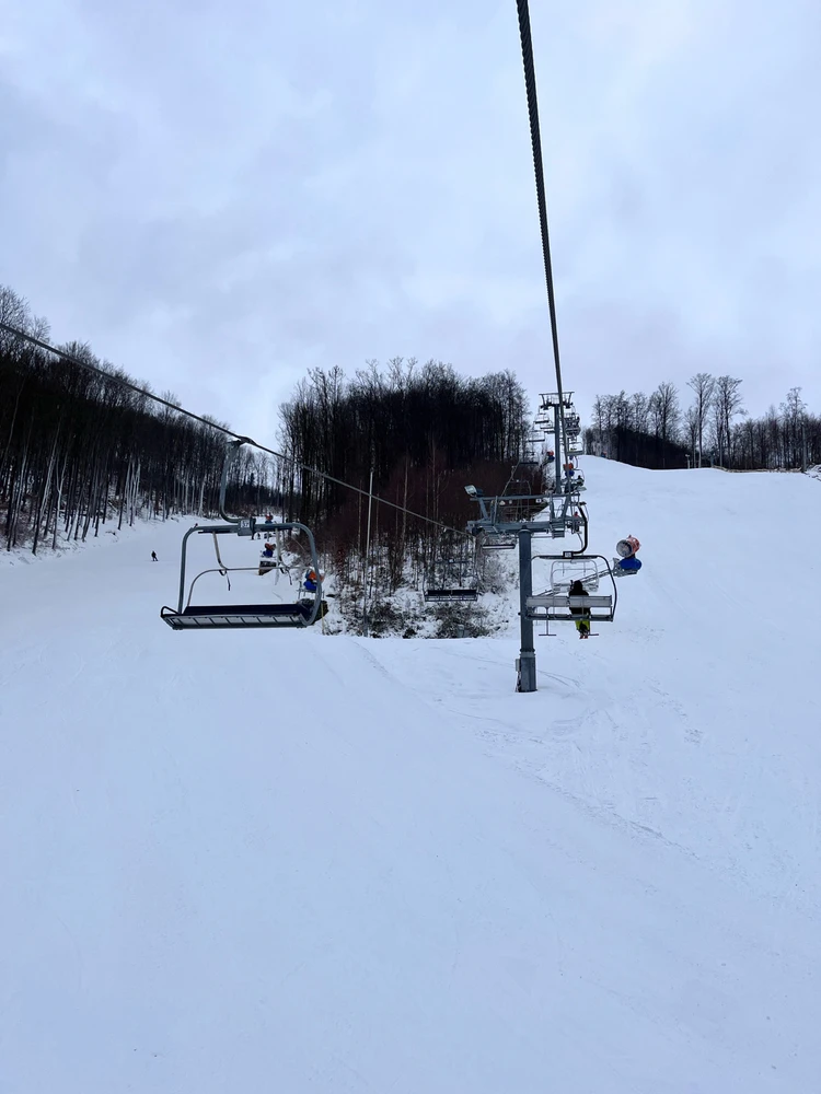 Obrázek nahrál 🤍