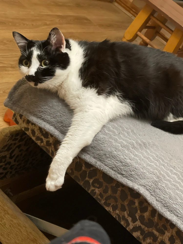 Гіфку завантажив Олексій