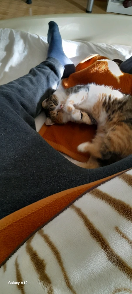 GIF učitao/la Karlo