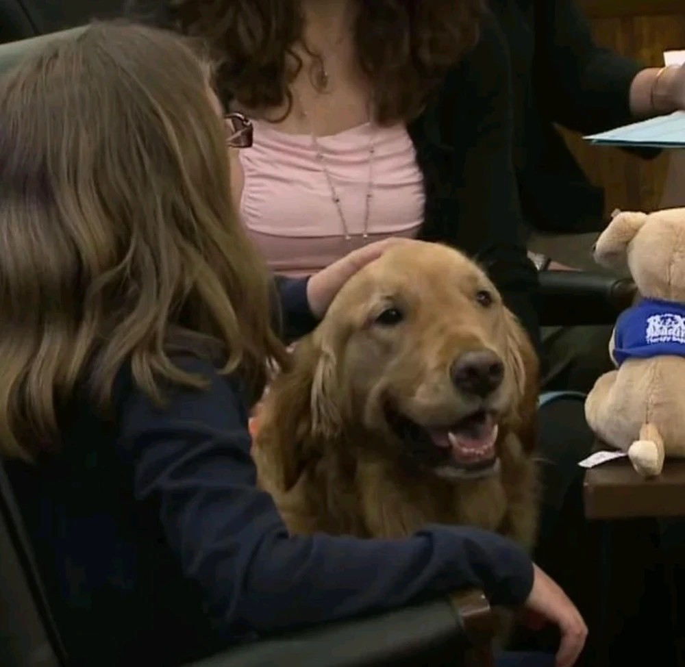 Image uploaded by Klei🌻⚖️