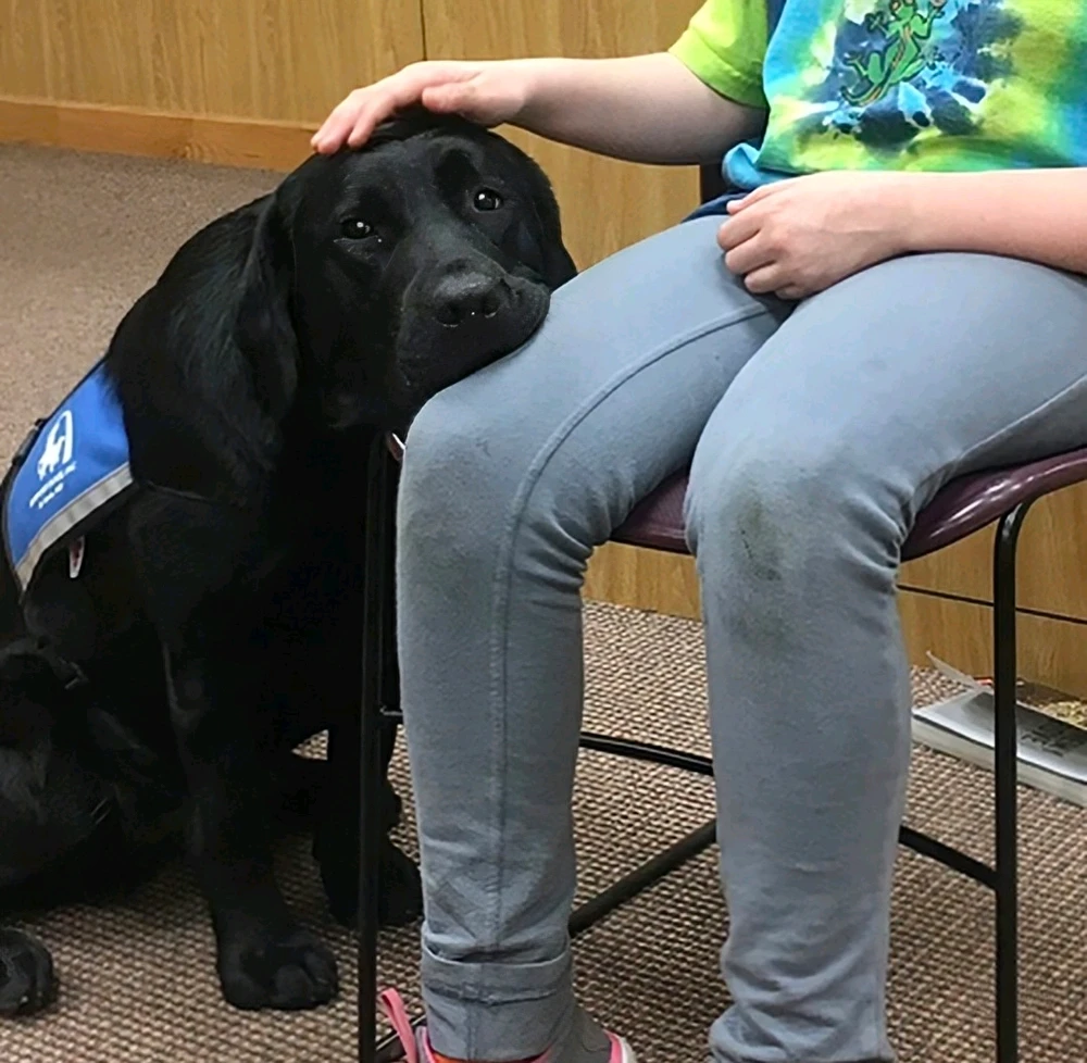 Image uploaded by Klei🌻⚖️