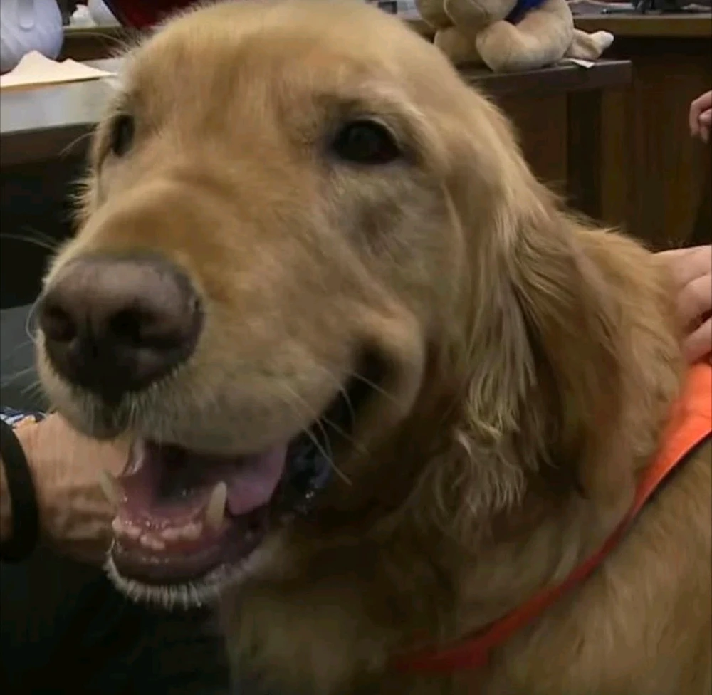 Image uploaded by Klei🌻⚖️