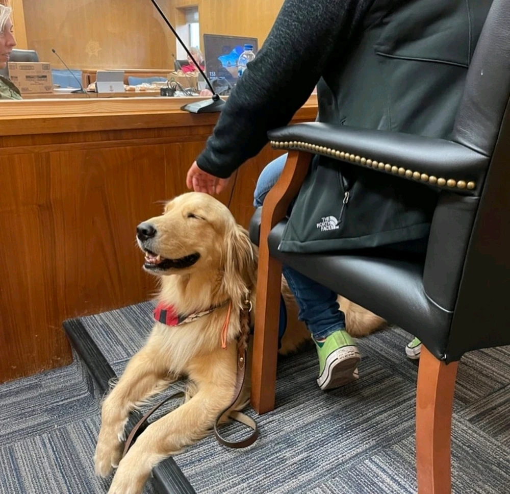 Image uploaded by Klei🌻⚖️