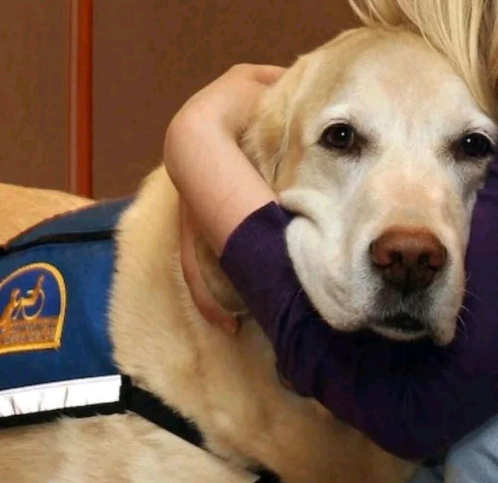 Image uploaded by Klei🌻⚖️