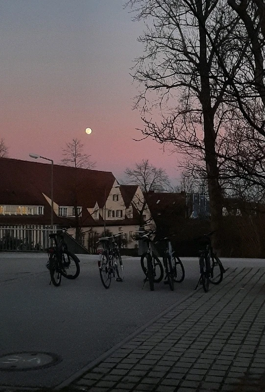 Bild eropgeluede vum Sepide