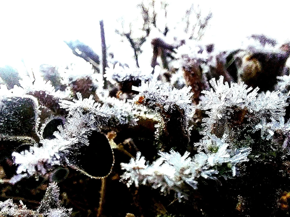 GIF hochgeladen von Markus