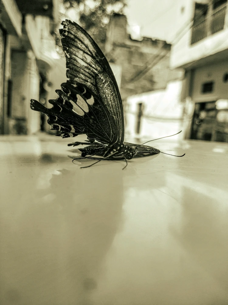 GIF uploaded by Sahil