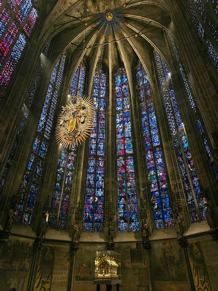 Image uploaded by Sami