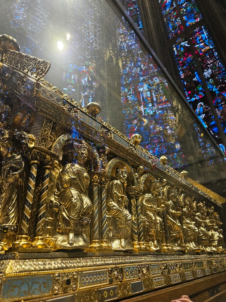 Image uploaded by Sami