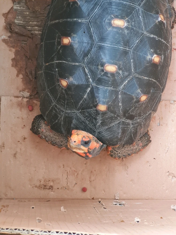 GIF uploaded by Qanuya