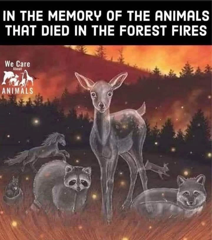 GIF uploaded by 🌙✨ℳℯ𝓁𝒶𝓃𝒾𝓆𝓊ℯ✨🌙