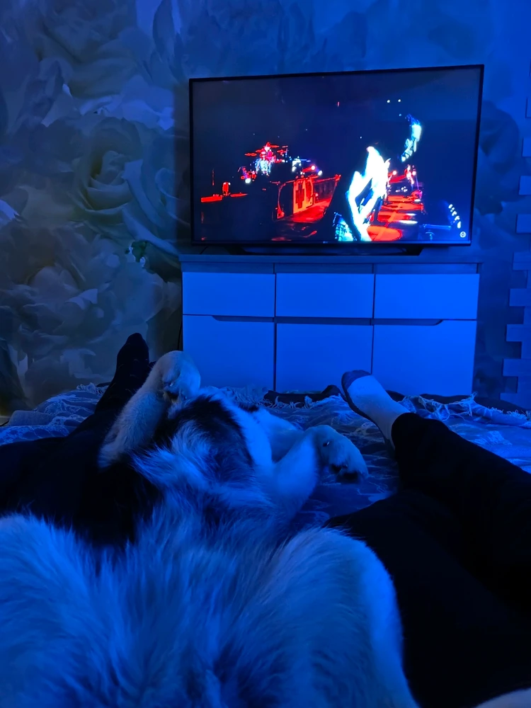 GIF загрузил Арсений