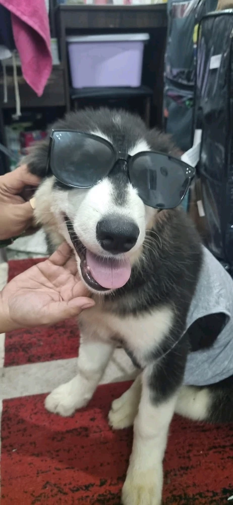 Image uploaded by Khen