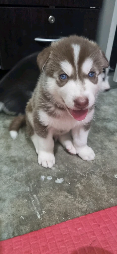 Image uploaded by Khen