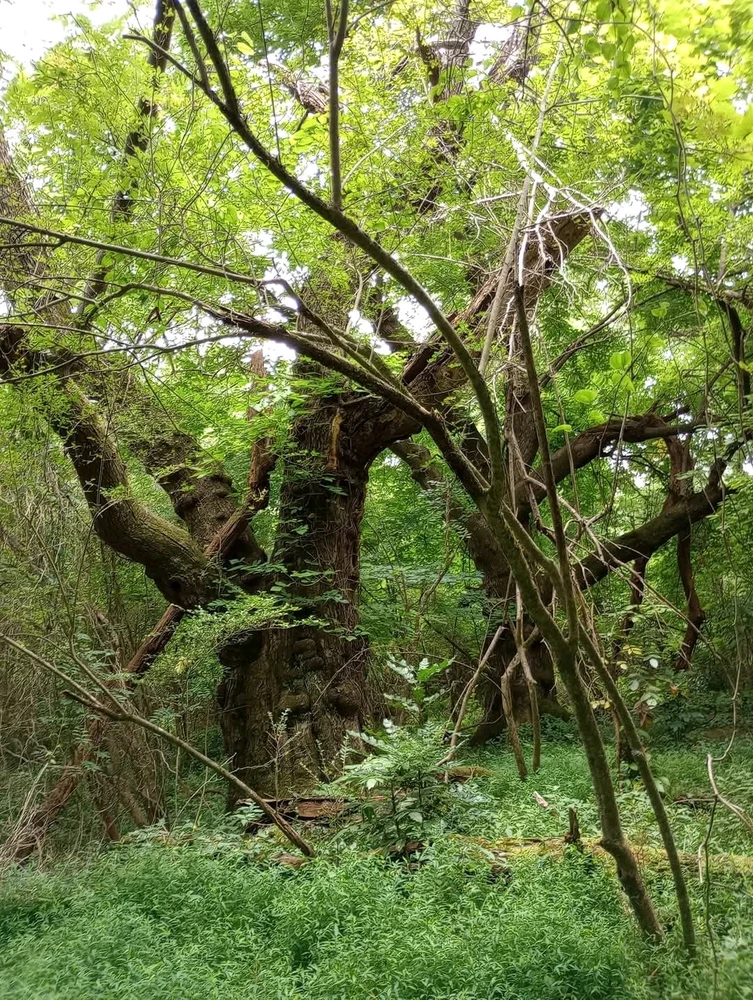 Gambar diunggah dening Jon