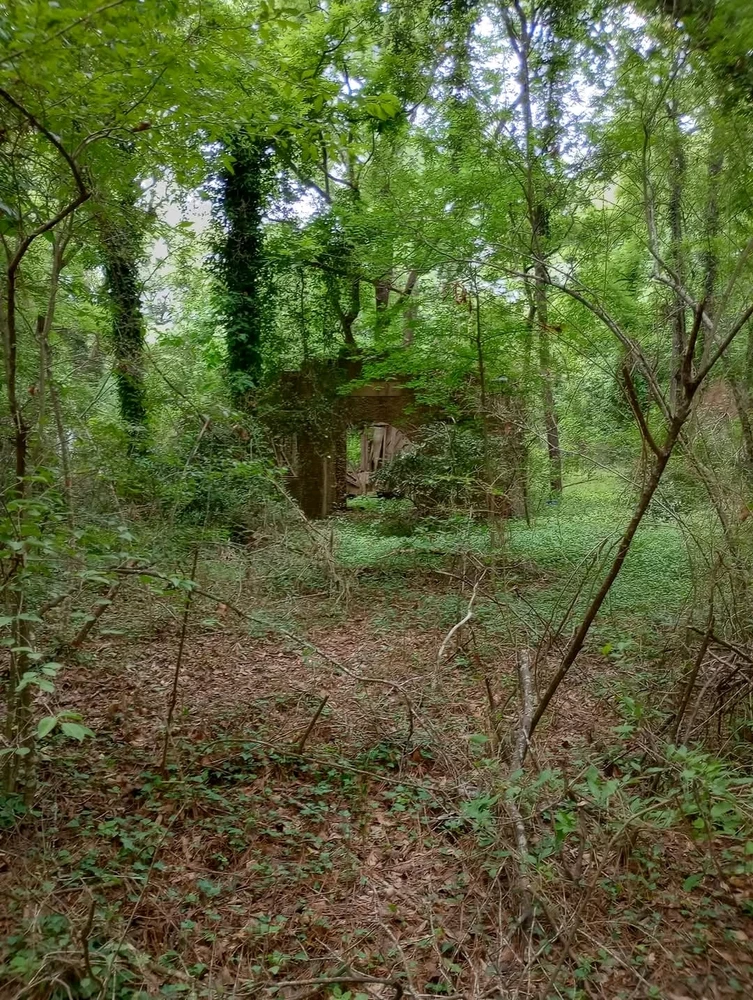 Gambar diunggah dening Jon