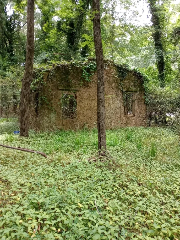 Gambar diunggah dening Jon