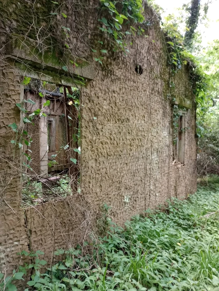 Gambar diunggah dening Jon