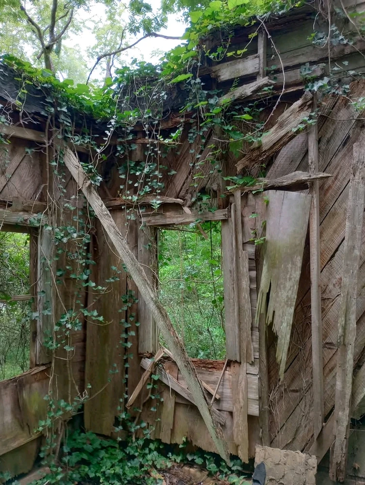 Gambar diunggah dening Jon